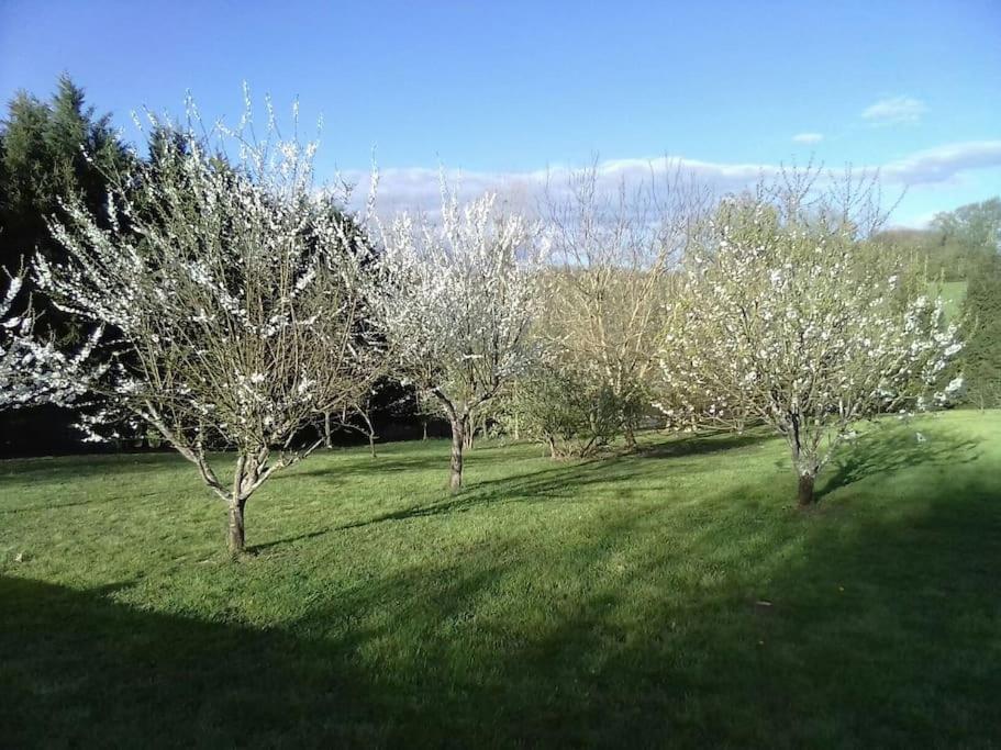 Dependance Pour 1 A 4 Pers Au Calme Dans Propriete Villa Marboz Exteriör bild