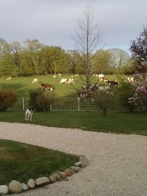 Dependance Pour 1 A 4 Pers Au Calme Dans Propriete Villa Marboz Exteriör bild